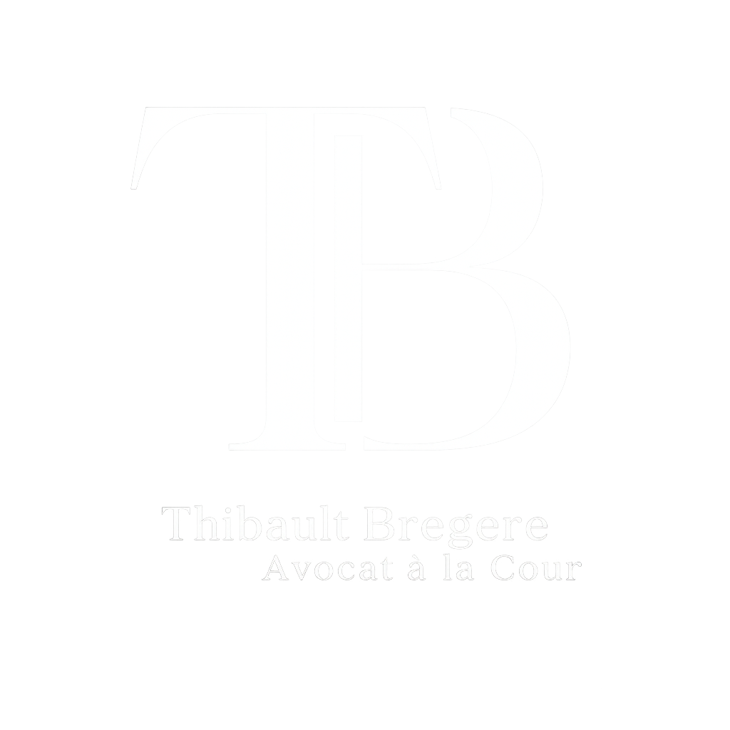 Thibault Bregere - Avocat à la Cour